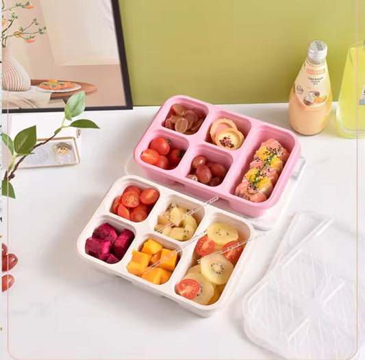 Bento Lunch box with 5 compartments