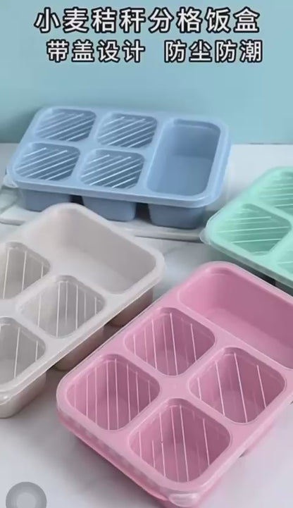 Bento Lunch box with 5 compartments